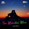 About Teri Mohabbat Mein Song